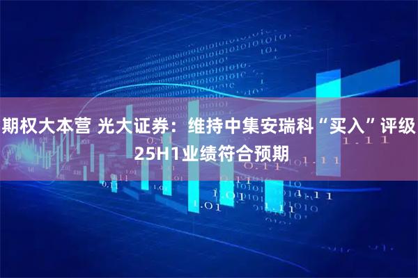 期权大本营 光大证券：维持中集安瑞科“买入”评级 25H1业绩符合预期
