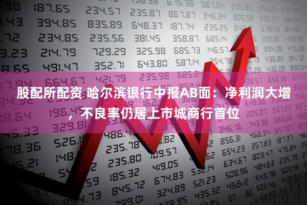 股配所配资 哈尔滨银行中报AB面：净利润大增，不良率仍居上市城商行首位