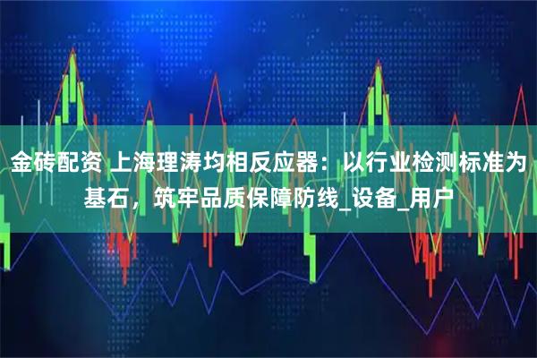 金砖配资 上海理涛均相反应器：以行业检测标准为基石，筑牢品质保障防线_设备_用户