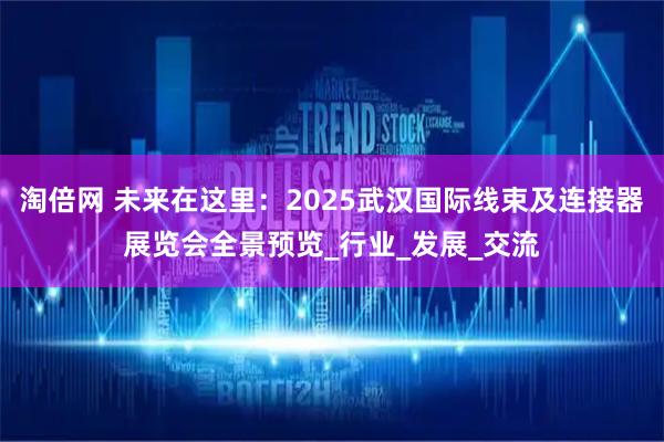 淘倍网 未来在这里：2025武汉国际线束及连接器展览会全景预览_行业_发展_交流